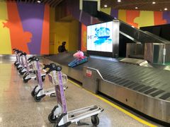 -厦门高崎国际机场-T3航站楼