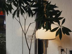 -常识咖啡common sense(春熙路店)