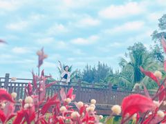 -沙美村