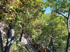 -帽儿山国家森林公园