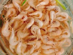 白鱼白虾-湖山人家·湖景餐厅·特色农家菜(太湖西山店)