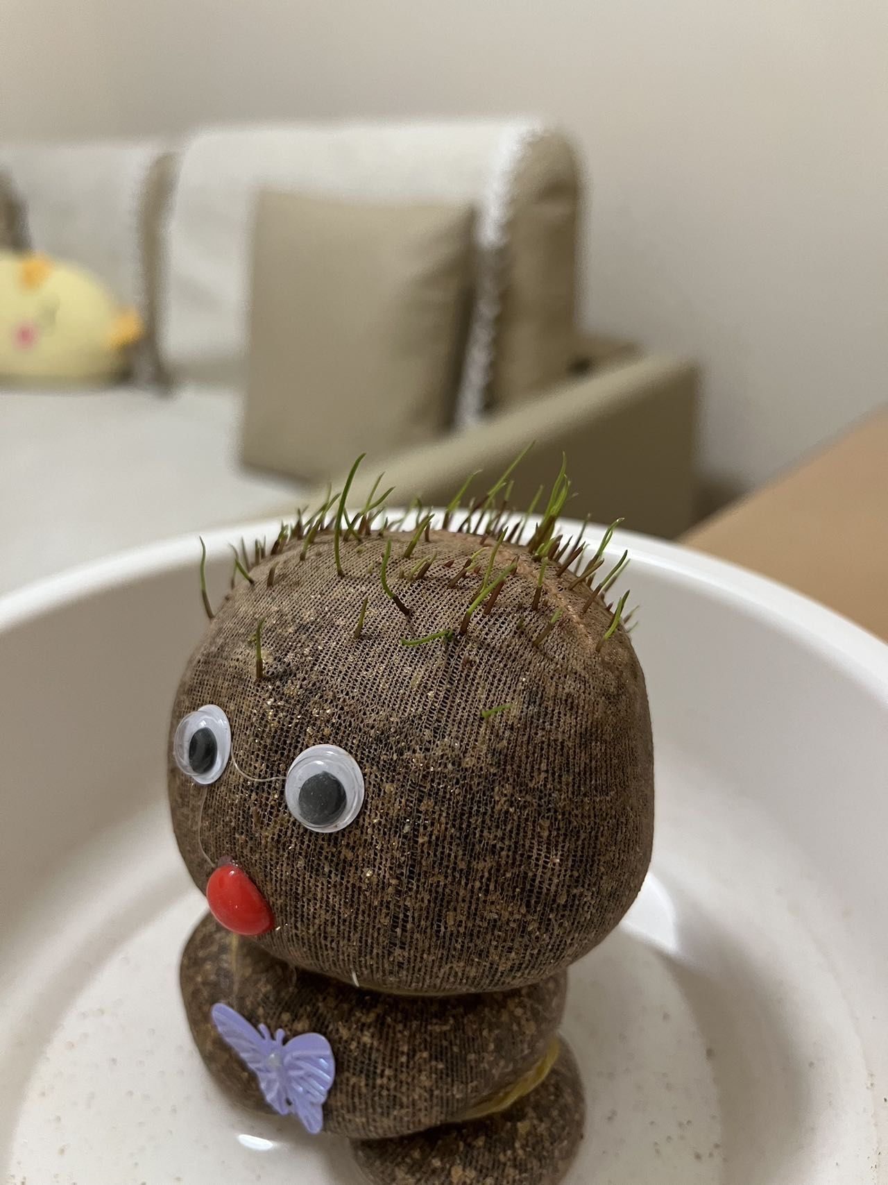 长草娃娃,短暂的一生淋漓尽致