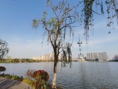 -聚龙湖公园