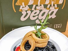 -VEGA VEGA 我行我素