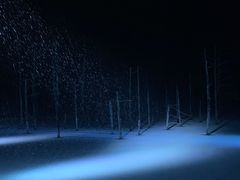 -青池