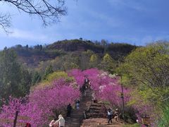 -天台山赤城山景区
