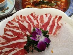 -古乐牛香•鲜牛肉牛杂火锅(系马桩总店)