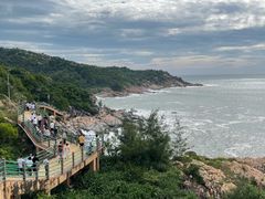 -广东惠东海龟国家级自然保护区