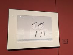 -江苏省美术馆(长江路新馆)