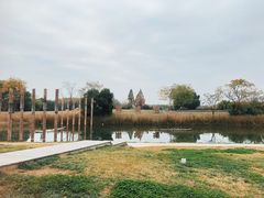 -良渚古城遗址公园