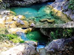 -南海湾森林生态园