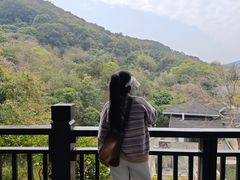 -天鹿湖森林公园
