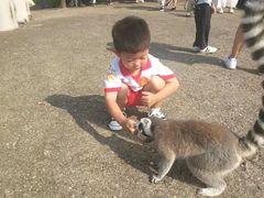 -无锡动物园·太湖欢乐园