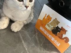 -纳吉亚猫专科动物医院博雅分院