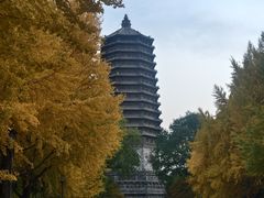 -玲珑塔公园