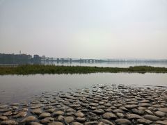 -东湖落雁景区