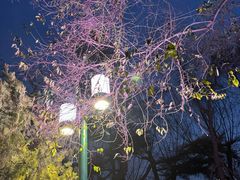 -山东大学(兴隆山校区)