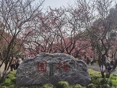 -上海海湾国家森林公园