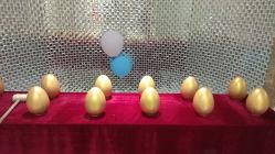 -伊芙世家美颜美养SPA