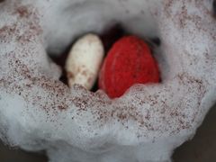 夏日可可森林-视博茶点(美狮美高梅店)