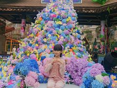 -灵玲国际马戏城