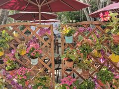 景观位-米兰臻选·花园餐厅(航空店)
