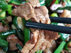 -马帮菜馆·美味野生菌