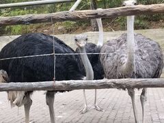 -燕塞湖鸟语林景区