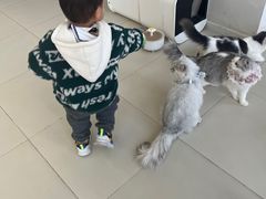 -怪兽屋·羊驼·猫咖·狗咖(俊华广场店)