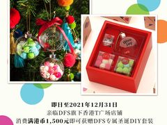 -DFS迪斐世(香港广东道店)
