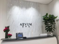 -奥斯芬欧系贵族SPA