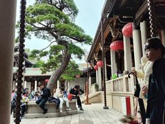 -南普陀寺
