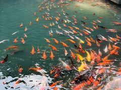 -兰溪地下长河
