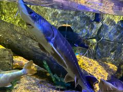 -沈阳海洋探索中心