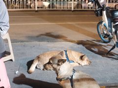 -本味家贵州烤肉&爆浆小豆腐(会展一店)