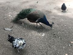 -南京金牛湖风景区