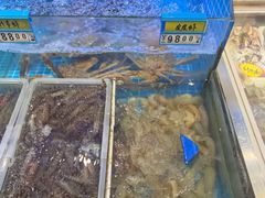-启东小海鲜(庄先湾路1号店)