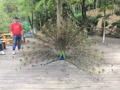 -天目湖山水园