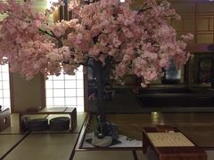 -汤泉良子(金源店)