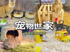 -宠物世家(仲盛世界商城店)
