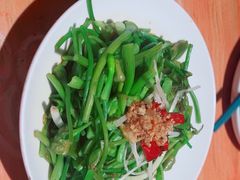 -菌自由丨野生菌火锅特色庭院餐厅(丽江古城店)