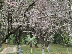 -元大都城垣遗址公园