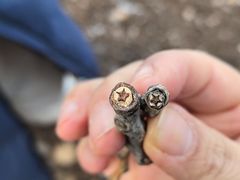-中国宋庆龄青少年科技文化交流中心