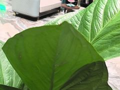 -铂尔登国际酒店(南山深圳湾口岸店)