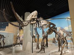 -国家自然博物馆