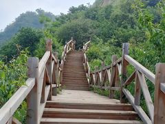 -大岭沟猕猴桃谷风景区