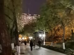 -文瀛公园
