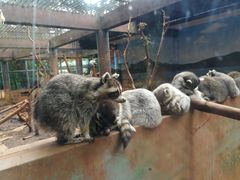 -昆明动物园