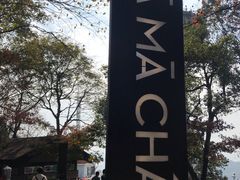 -MAMACHA妈妈茶(岳麓山店)