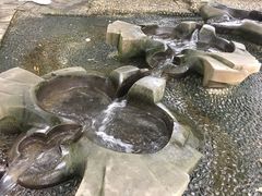 -成都市活水公园